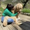 Images de profil de Capucine - Blooming Pets - Petsitting et garde d'animaux à domicile