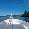 Images de profil de Caroline - Blooming Pets - Petsitting et garde d'animaux à domicile
