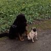 Images de profil de Carla - Blooming Pets - Petsitting et garde d'animaux à domicile