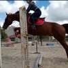 Images de profil de Carla - Blooming Pets - Petsitting et garde d'animaux à domicile