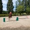 Images de profil de Carla - Blooming Pets - Petsitting et garde d'animaux à domicile