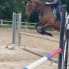 Images de profil de Carla - Blooming Pets - Petsitting et garde d'animaux à domicile