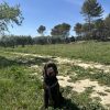 Images de profil de Carla - Blooming Pets - Petsitting et garde d'animaux à domicile