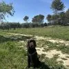 Images de profil de Carla - Blooming Pets - Petsitting et garde d'animaux à domicile