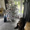 Images de profil de Carla - Blooming Pets - Petsitting et garde d'animaux à domicile