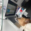 Images de profil de Carole - Blooming Pets - Petsitting et garde d'animaux à domicile