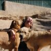 Images de profil de Caroline - Blooming Pets - Petsitting et garde d'animaux à domicile