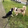 Images de profil de Cassandre - Blooming Pets - Petsitting et garde d'animaux Ă domicile