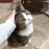 Images de profil de Cassandre - Blooming Pets - Petsitting et garde d'animaux Ă domicile