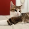 Images de profil de Cassy - Blooming Pets - Petsitting et garde d'animaux à domicile