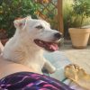 Images de profil de Cathleen - Blooming Pets - Petsitting et garde d'animaux à domicile
