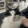 Images de profil de Celia - Blooming Pets - Petsitting et garde d'animaux à domicile