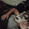 Images de profil de Célia - Blooming Pets - Petsitting et garde d'animaux à domicile