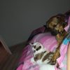 Images de profil de Célia - Blooming Pets - Petsitting et garde d'animaux à domicile