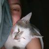 Images de profil de Cellia - Blooming Pets - Petsitting et garde d'animaux à domicile