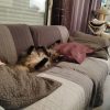 Images de profil de Chloe - Blooming Pets - Petsitting et garde d'animaux à domicile