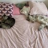 Images de profil de Chloe - Blooming Pets - Petsitting et garde d'animaux à domicile