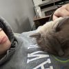 Images de profil de Chloe - Blooming Pets - Petsitting et garde d'animaux à domicile