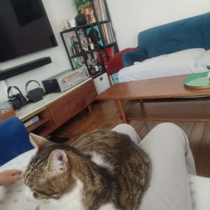 Images de profil de Barry - Blooming Pets - Petsitting et garde d'animaux à domicile