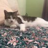 Images de profil de Charlotte - Blooming Pets - Petsitting et garde d'animaux à domicile