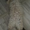 Images de profil de Charlotte - Blooming Pets - Petsitting et garde d'animaux à domicile