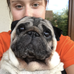 Images de profil de Charlotte - Blooming Pets - Petsitting et garde d'animaux à domicile