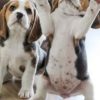Images de profil de Séverine - Blooming Pets - Petsitting et garde d'animaux à domicile