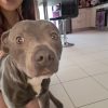 Images de profil de Chloé - Blooming Pets - Petsitting et garde d'animaux à domicile