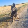 Images de profil de Marie-Line - Blooming Pets - Petsitting et garde d'animaux à domicile