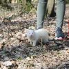 Images de profil de Marina - Blooming Pets - Petsitting et garde d'animaux à domicile