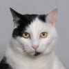 Images de profil de Christine - Blooming Pets - Petsitting et garde d'animaux à domicile