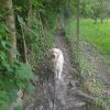 Images de profil de CHRISTIANE - Blooming Pets - Petsitting et garde d'animaux à domicile