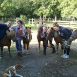 Image de profil de Angélique Michelle - Blooming Pets - Petsitting et garde d'animaux à domicile