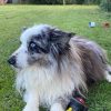 Images de profil de Claire - Blooming Pets - Petsitting et garde d'animaux à domicile
