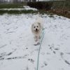 Images de profil de Clara - Blooming Pets - Petsitting et garde d'animaux à domicile