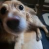 Images de profil de Clara - Blooming Pets - Petsitting et garde d'animaux à domicile