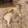Images de profil de Clara - Blooming Pets - Petsitting et garde d'animaux à domicile