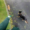 Images de profil de Clarysse - Blooming Pets - Petsitting et garde d'animaux à domicile