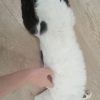 Images de profil de Claudia - Blooming Pets - Petsitting et garde d'animaux à domicile