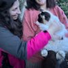 Images de profil de Claudia - Blooming Pets - Petsitting et garde d'animaux à domicile