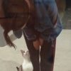Images de profil de Claudia - Blooming Pets - Petsitting et garde d'animaux à domicile