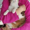 Images de profil de Claudia - Blooming Pets - Petsitting et garde d'animaux à domicile