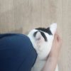 Images de profil de Claudia - Blooming Pets - Petsitting et garde d'animaux à domicile