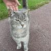 Images de profil de Clea - Blooming Pets - Petsitting et garde d'animaux à domicile