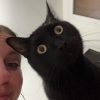 Images de profil de Clémentine - Blooming Pets - Petsitting et garde d'animaux à domicile