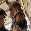 Images de profil de Clémentine - Blooming Pets - Petsitting et garde d'animaux à domicile