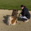 Images de profil de Clémentine - Blooming Pets - Petsitting et garde d'animaux à domicile