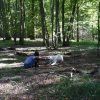 Images de profil de Aurore - Blooming Pets - Petsitting et garde d'animaux à domicile