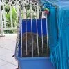 Images de profil de Coralie - Blooming Pets - Petsitting et garde d'animaux Ă domicile