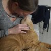 Images de profil de coralie - Blooming Pets - Petsitting et garde d'animaux à domicile